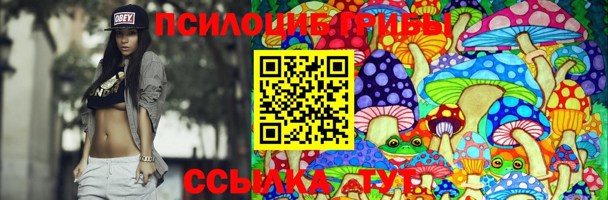 Усинск  Галлюциногенные грибы прущие грибы  Вход с VPN 